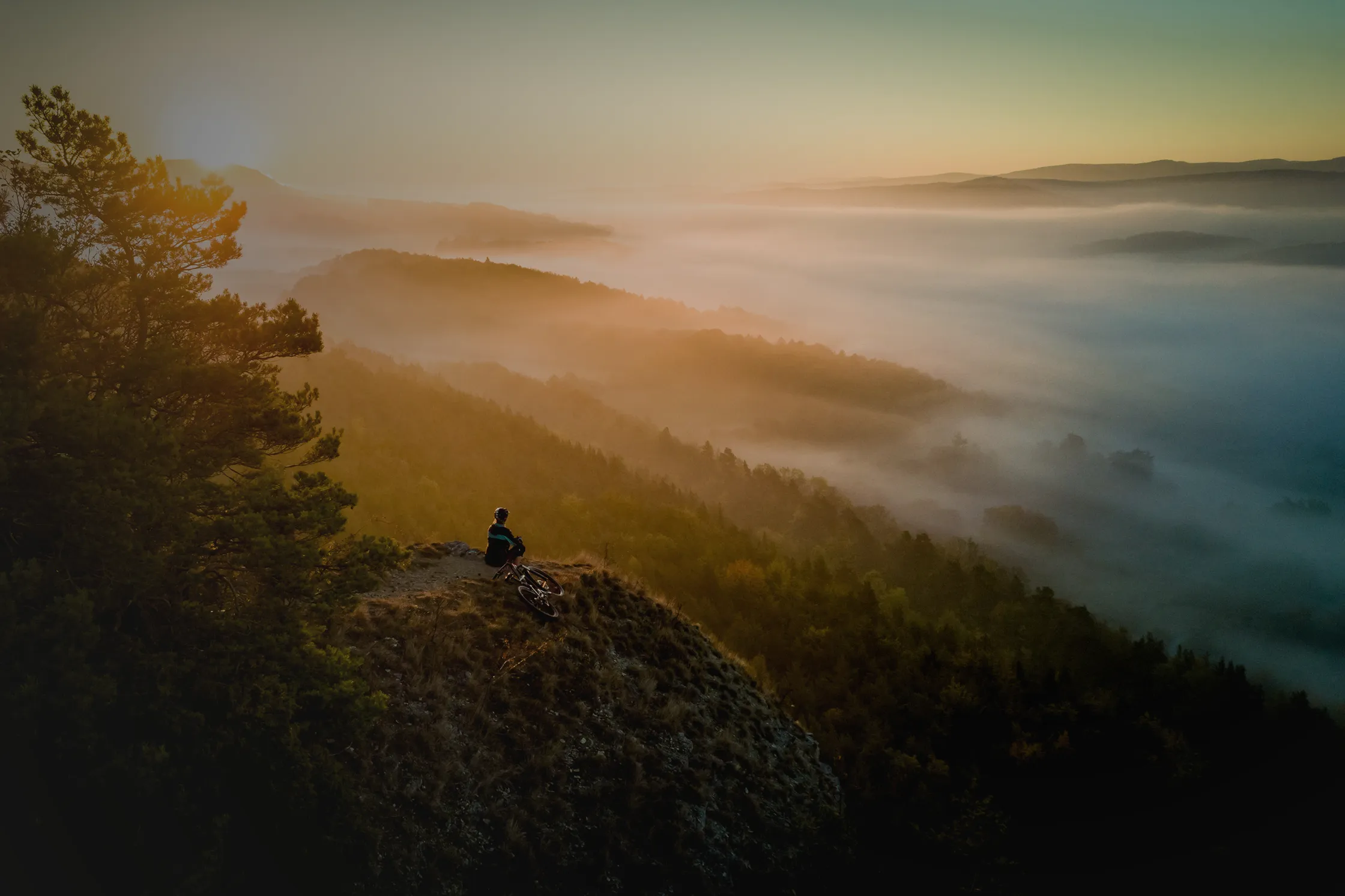 Ein Radfahrer sitzt auf einem Gipfel und blickt über den Wald.